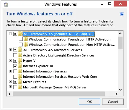 .NET Framework 3.5 enabled and .NET Framework 4.5 - Screenshot