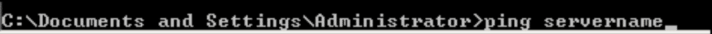 Ping the Server - Screenshot Image
