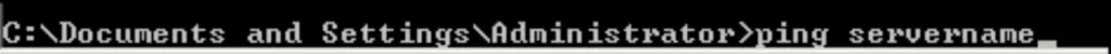 Ping the Server - Screenshot Image