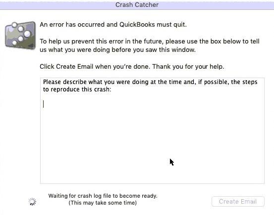 QuickBooks Crash Catcher Error - Screenshot Image