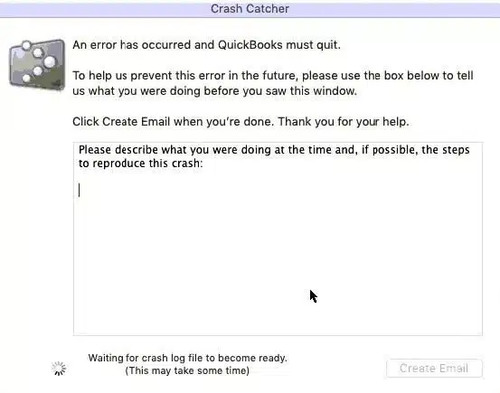 QuickBooks Crash Catcher Error - Screenshot Image