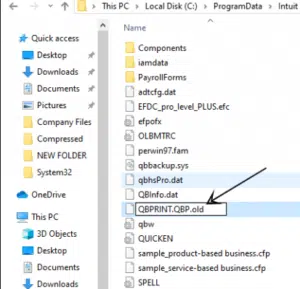Rename the the QBPrint.QBP file - Image